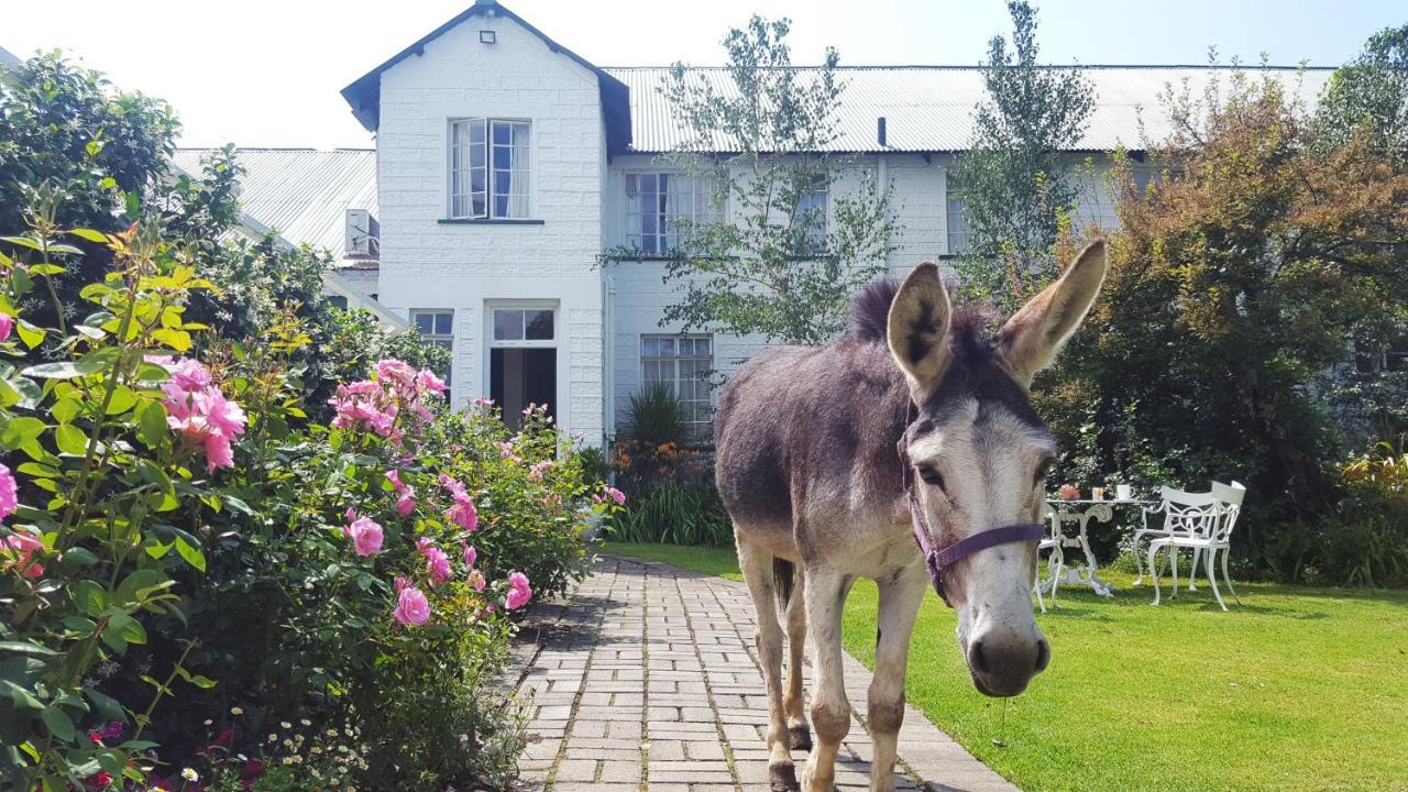 Green Lantern Inn Van Reenen Bagian luar foto